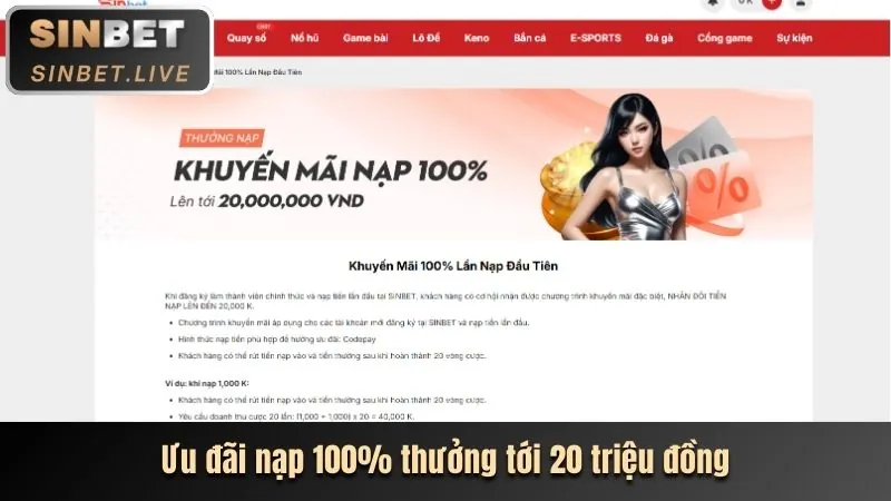Hoàn trả hàng ngày 28bet